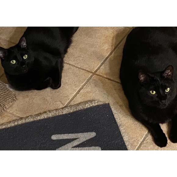 Meet your Posher, Dena - Picture 8 of 15